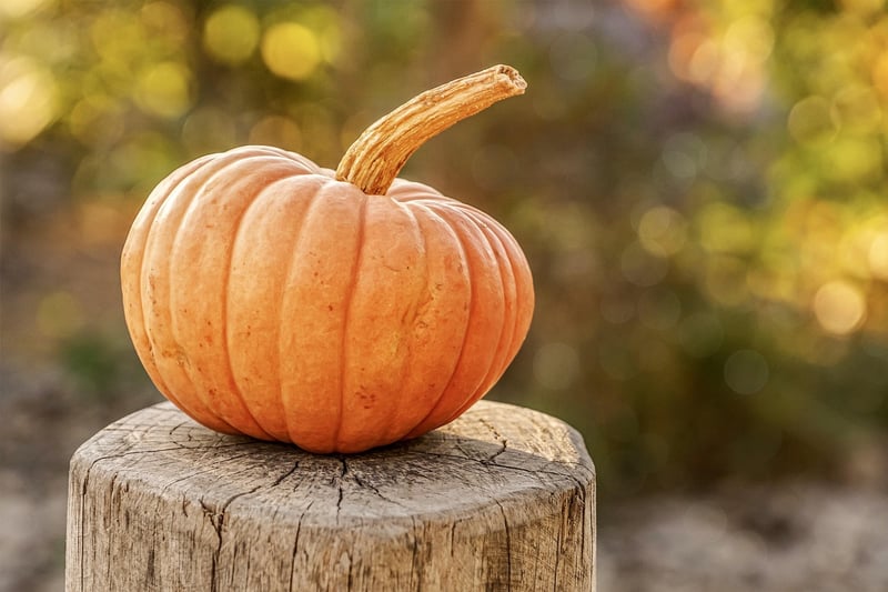 Seasonal Harvest