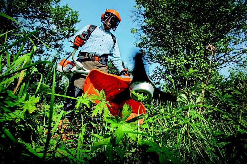 Pruning plants