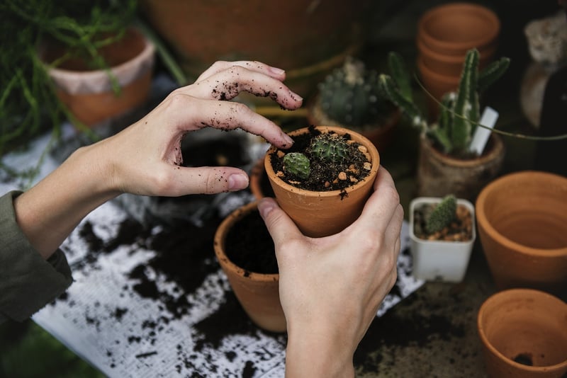 Potions for Plants