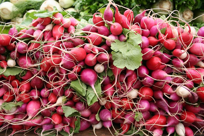 Winter Vegetables